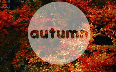 Autumn-Leaves吉他谱_卢家宏_标准调弦_变调夹不夹_网络转载