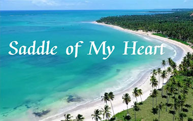Saddle-Of-My-Heart吉他谱_Teloupe_C调_变调夹1品_登山者