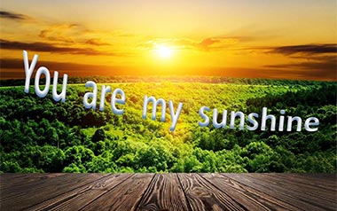 You-Are-My-Sunshine吉他谱_C调_变调夹不夹_简单吉他