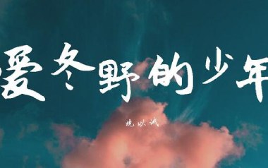爱冬野的少年吉他谱_沈以诚_C调_变调夹1品_网络转载