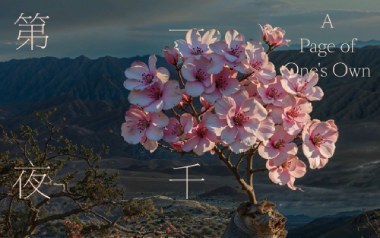 爱河吉他谱_ZaZaZsu_G调_变调夹3品_浪淘沙