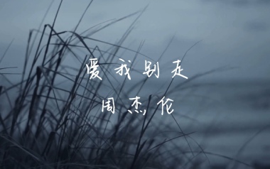 爱我别走吉他谱_周杰伦_C调_变调夹不夹_网络转载