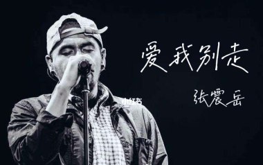 爱我别走吉他谱_张震岳_G调_变调夹5品_酷音小伟的教程