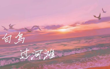 白鸟过河滩吉他谱_ILEM_G调_变调夹降半音调弦_网络转载