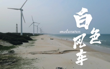 白色风车吉他谱_周杰伦_G调_变调夹降全音调弦_7T吉他教室