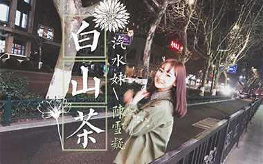 白山茶吉他谱_陈雪凝_C调_变调夹5品_无限延音