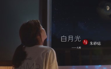白月光与朱砂痣吉他谱_大籽_标准调弦_变调夹4品_网络转载