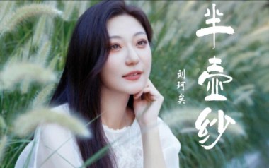 半壶纱吉他谱_刘珂矣_标准调弦_变调夹不夹_钟亚