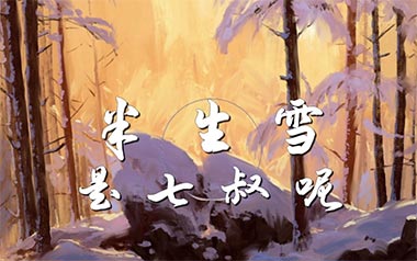 半生雪吉他谱_是七叔呢_G调_变调夹1品_第七城市