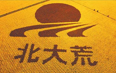 北大荒吉他谱_安来宁_G调_变调夹不夹_一颗加菲
