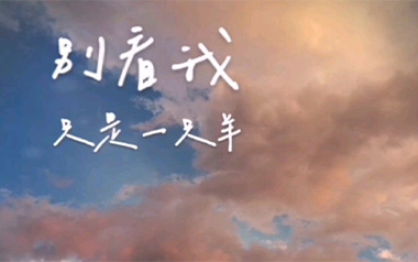 别看我只是一只羊吉他谱_沈以诚_C调_变调夹6品_网络转载