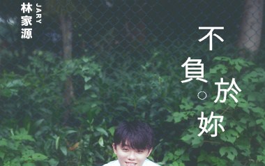 不负于你吉他谱_林家源_C调_变调夹2品_高音教