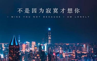 不是因为寂寞才想你吉他谱_王小帅_C调_变调夹1品_无限延音