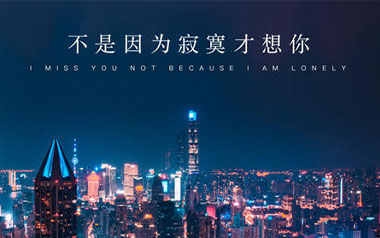 不是因为寂寞才想你吉他谱_王小帅_C调_变调夹1品_吉他专家