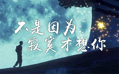 不是因为寂寞才想你吉他谱_王小帅_C调_变调夹1品_西二吉他的教程