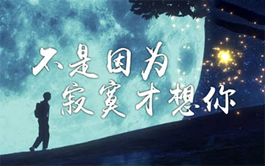 不是因为寂寞才想你吉他谱_王小帅_C调_变调夹5品_点点糖吉他