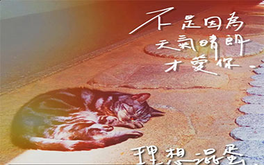 不是因为天气晴朗才爱你吉他谱_理想混蛋_G调_变调夹1品_网络转载