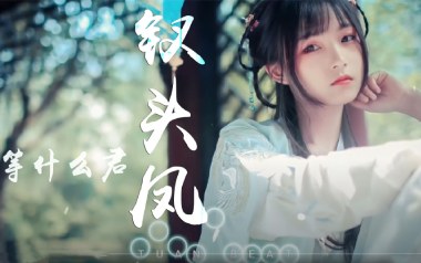 钗头凤吉他谱_等什么君_C调_变调夹降半音调弦_一颗加菲