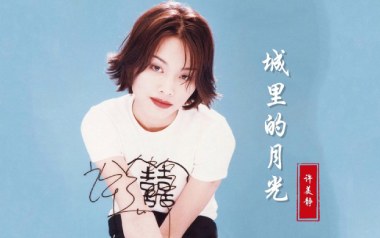 城里的月光吉他谱_许美静_G调_变调夹3品_吉他专家