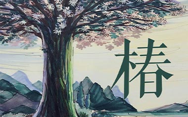 椿吉他谱_沈以诚_C调_变调夹5品_吉他专家