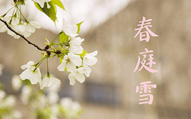 春庭雪吉他谱_橙翼_C调_变调夹6品_网络转载