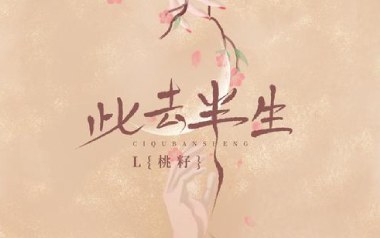 此去半生吉他谱_桃籽_G调_变调夹不夹_浪淘沙