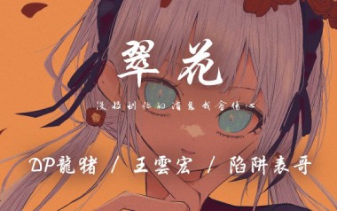 翠花吉他谱_DP龙猪_G调_变调夹降半音调弦_浪淘沙