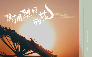 簇拥烈日的花吉他谱_迟里乌布_C调_变调夹3品_革命吉他的教程
