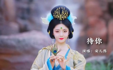 待你吉他谱_安儿陈_C调_变调夹2品_网络转载