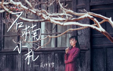 石楠小札吉他谱_贰婶_C调_变调夹根据个人情况选择_梦马音乐