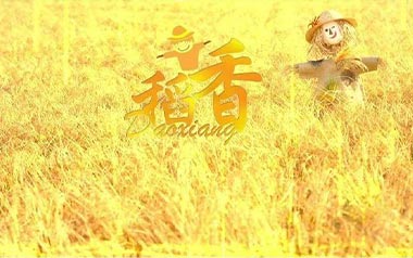 稻香吉他谱_周杰伦_A调_变调夹不夹_凡凡吉他教室