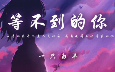 等不到的你吉他谱_一只白羊_G调_变调夹不夹_濮宇
