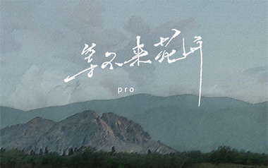 等不来花开吉他谱_Pro_C调_变调夹2品_d手指