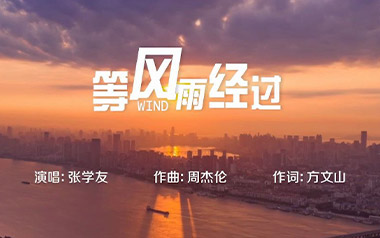 等风雨经过吉他谱_张学友_C调_变调夹4品_无限延音