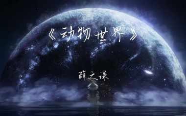 动物世界吉他谱_薛之谦_C调_变调夹5品_网络转载