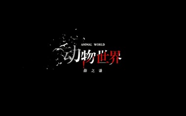 动物世界吉他谱_薛之谦_C调_变调夹5品_唯音悦