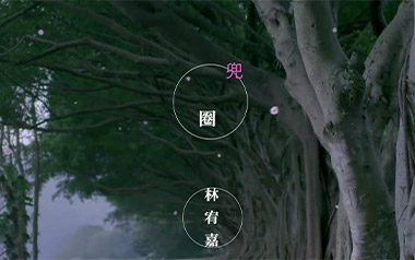 兜圈吉他谱_林宥嘉_C调_变调夹2品_岛屿吉他