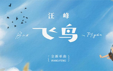 飞鸟吉他谱_汪峰_G调_变调夹4品_革命吉他的教程