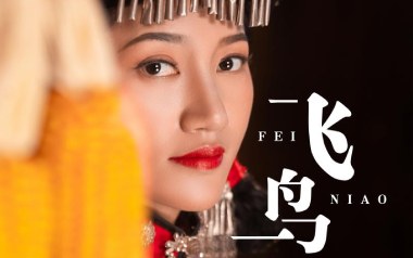飞鸟吉他谱_曲木阿依_G调_变调夹1品_52JT