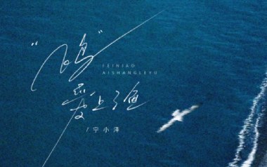 飞鸟爱上了鱼吉他谱_宁小泽_C调_变调夹1品_濮宇