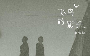 飞鸟的影子吉他谱_好妹妹乐队_G调_变调夹2品_无限延音