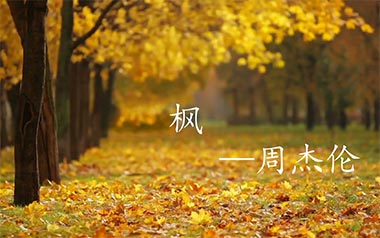 枫吉他谱_周杰伦_C调_变调夹不夹_无限延音