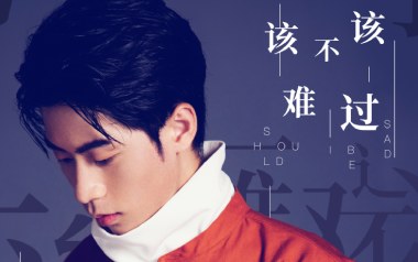 该不该难过吉他谱_王小帅_C调_变调夹6品_网络转载