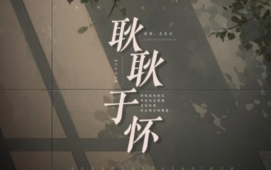 耿耿于怀吉他谱_王笑文_G调_变调夹降半音调弦_网络转载