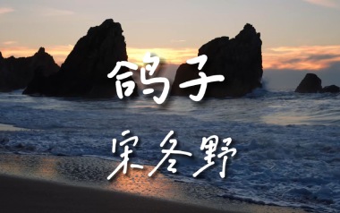 鸽子吉他谱_宋冬野_E调_变调夹不夹_革命吉他