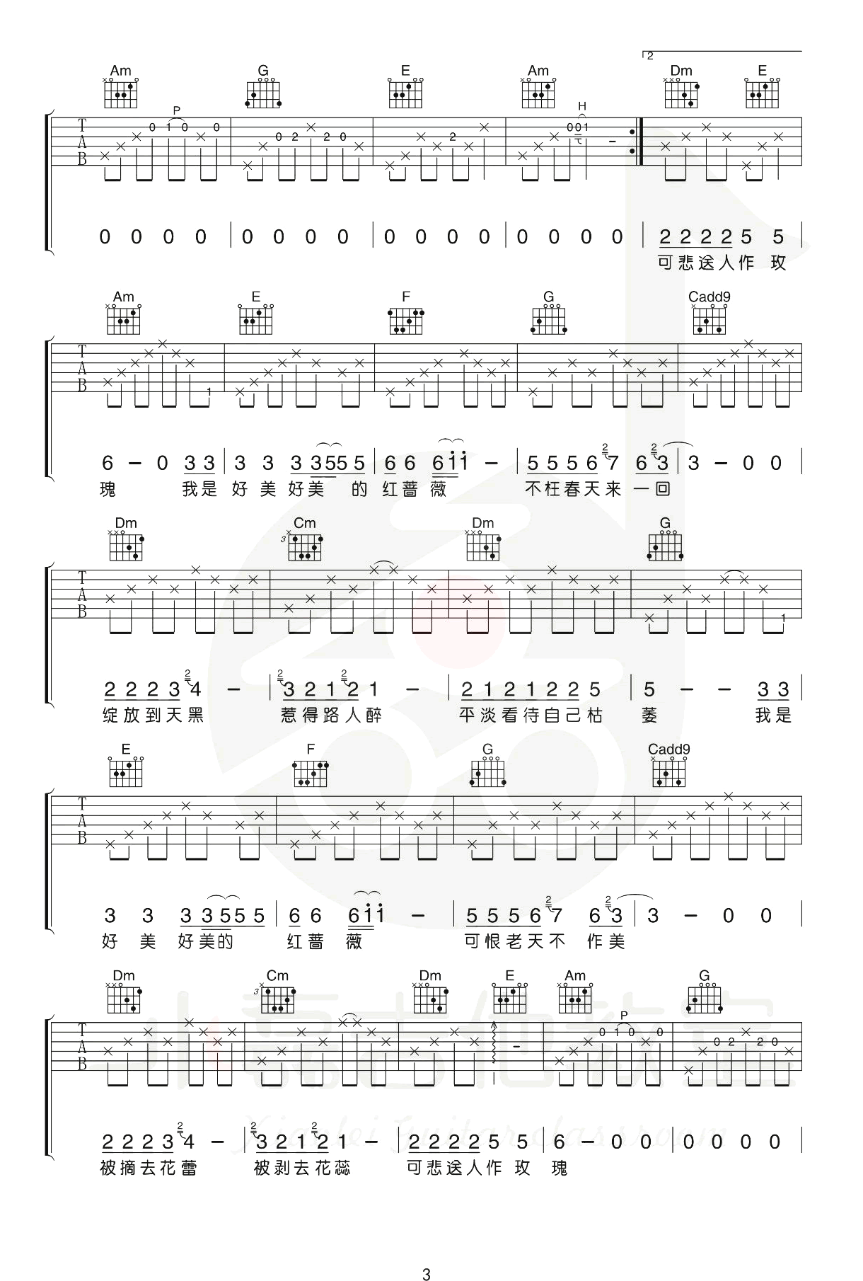 红蔷薇吉他谱3-正午阳光