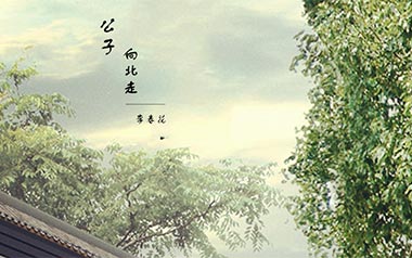 公子向北走吉他谱_李春花_G调_变调夹不夹_乐事吉他