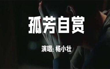 孤芳自赏吉他谱_杨小壮_G调_变调夹1品_网络转载