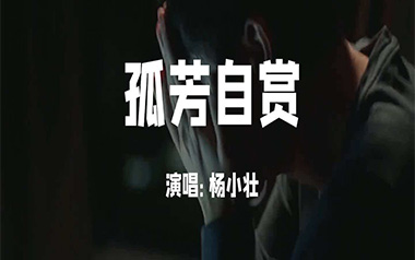 孤芳自赏吉他谱_杨小壮_G调_变调夹1品_点点糖吉他