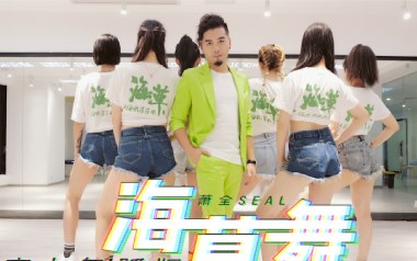 海草舞吉他谱_萧全_G调_变调夹2品_两万五